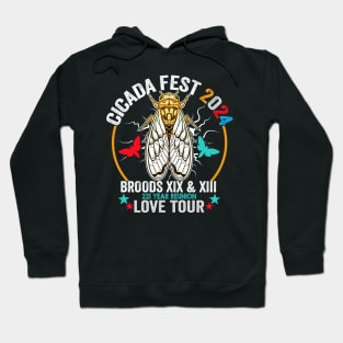 Vintage Cicada Fest 2024 Tsunami Phenomenon Brood XIX Brood XIII Year Of The Cicada 2024 Hoodie